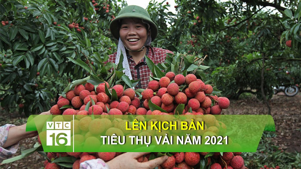 'Hành trình hạnh phúc' của Saigon Co.op lan tỏa niềm tự hào quê hương_Video ngắn